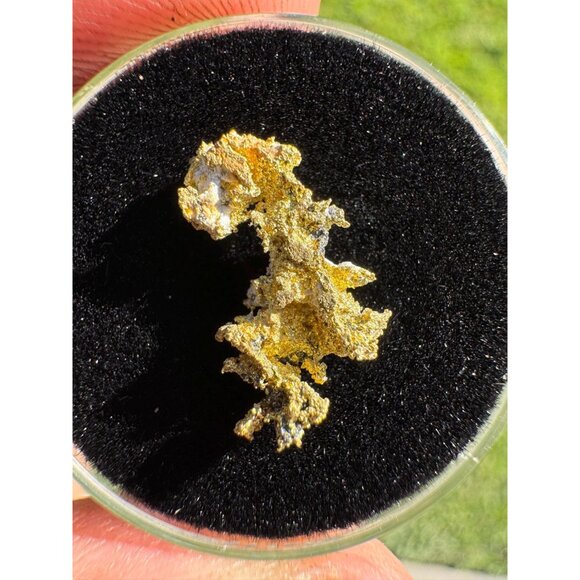 California Native Gold Crystal - 0.83 grams - Picture 9 of 9